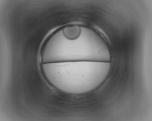 X0000111851323200907231051