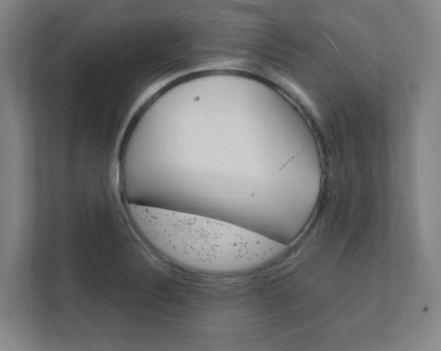X0000111851324200907231051