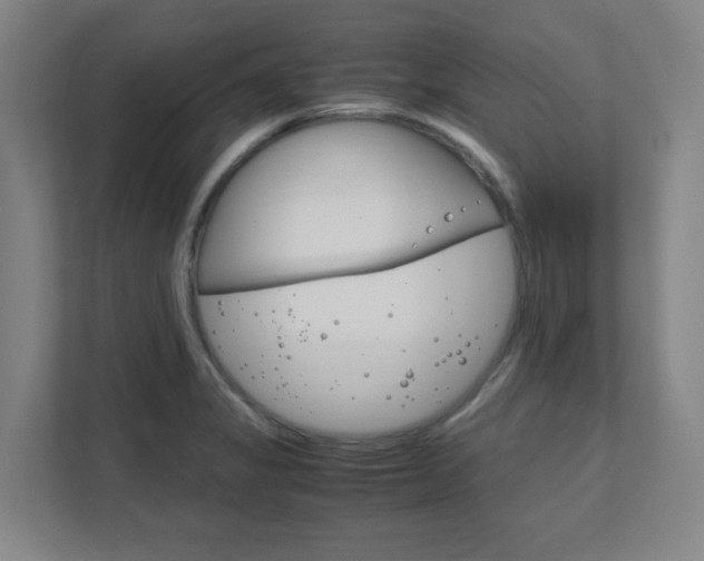 X0000111851325200907231051