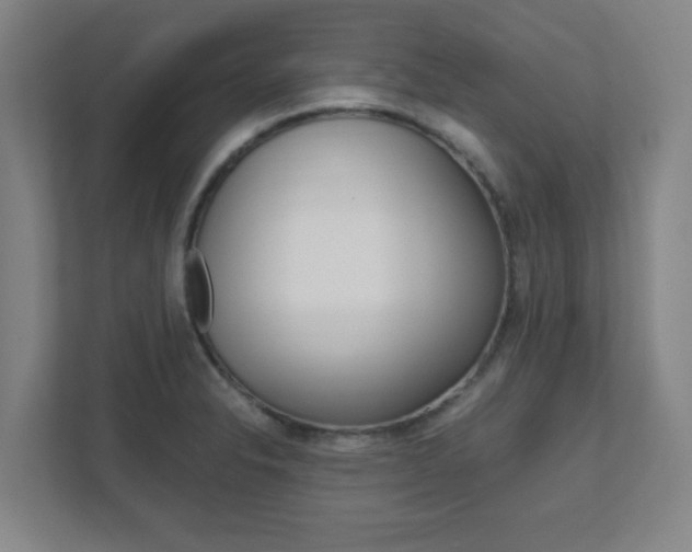 X0000111851326200907231051