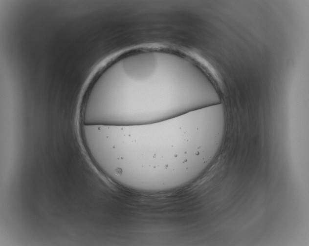 X0000111851327200907231051