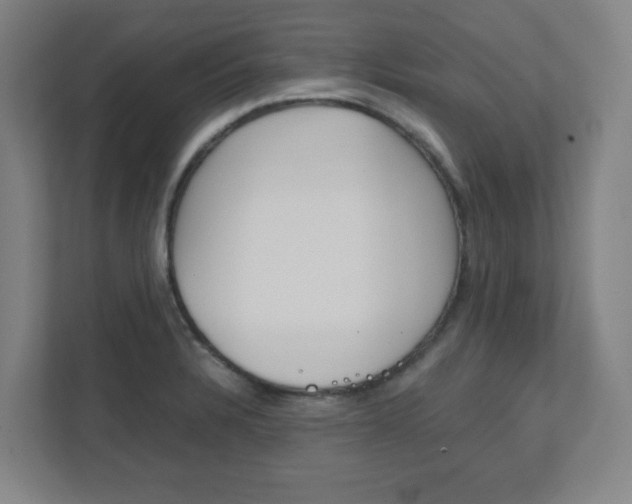 X0000111851328200907231051