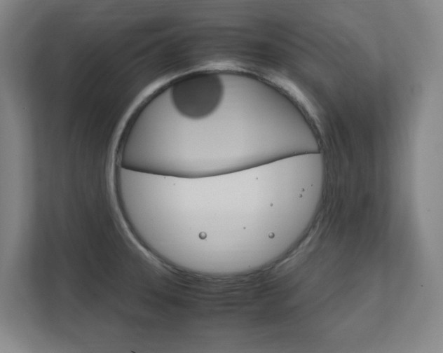 X0000111851331200907231052