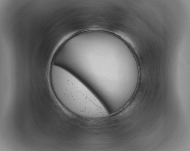 X0000111851333200907231052