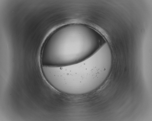 X0000111851334200907231052