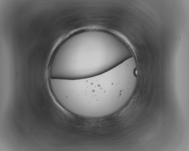 X0000111851335200907231052