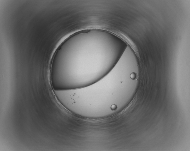 X0000111851340200907231052
