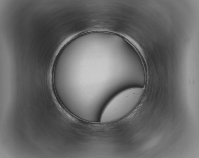 X0000111851341200907231052