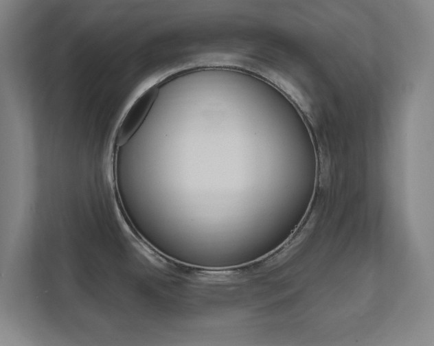 X0000111851342200907231052