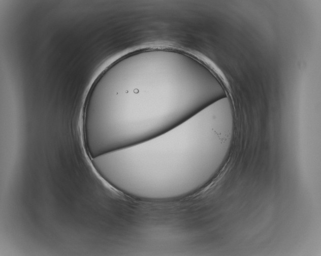 X0000111851343200907231052