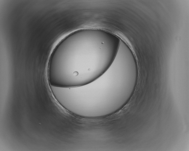X0000111851344200907231052