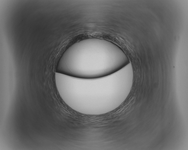 X0000111851345200907231051
