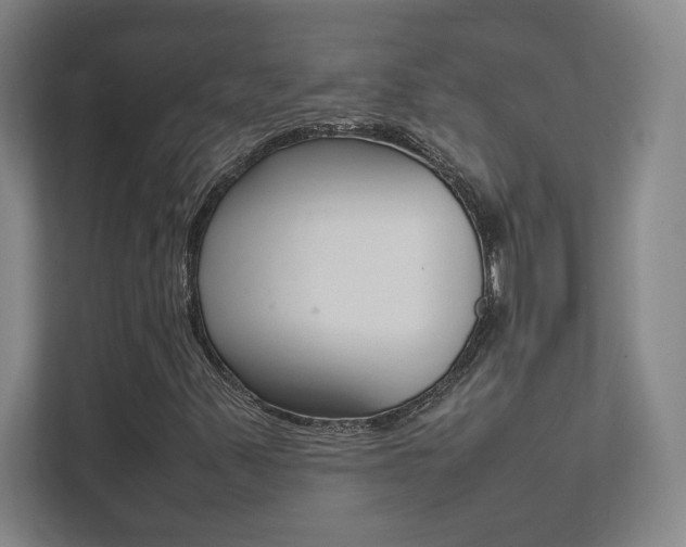 X0000111851347200907231051