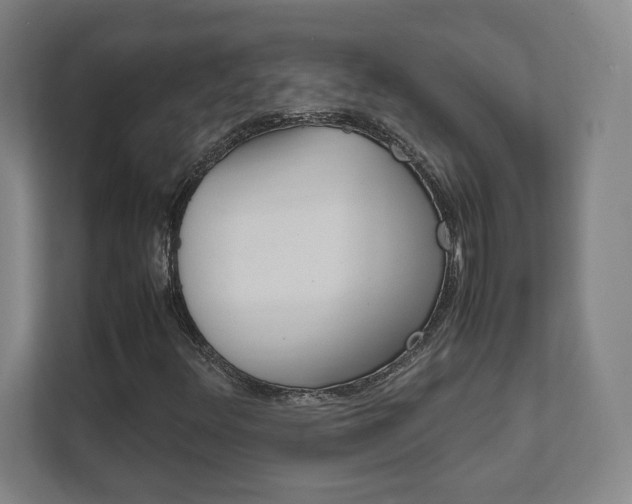 X0000111851348200907231051