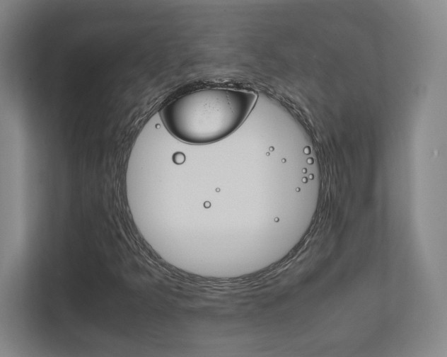X0000111851349200907231051