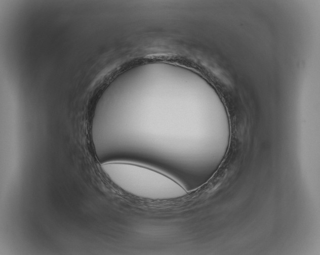 X0000111851351200907231051