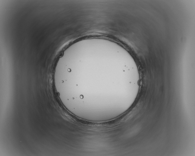 X0000111851355200907231051