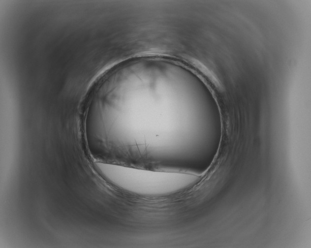 X0000111851356200907231051