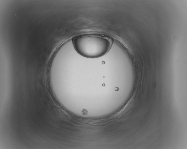 X0000111851357200907231051