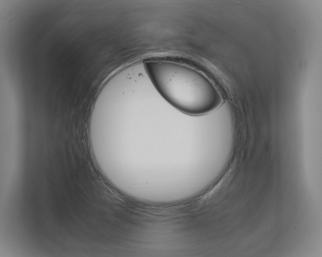 X0000111851361200907231051