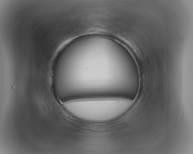 X0000111851363200907231051