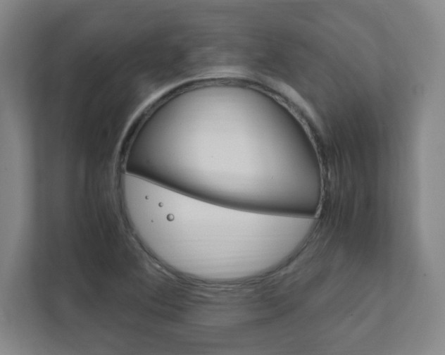 X0000111851364200907231051