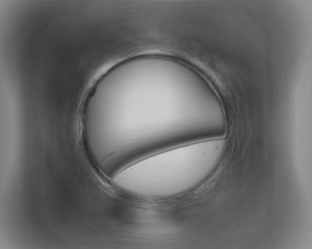 X0000111851367200907231051