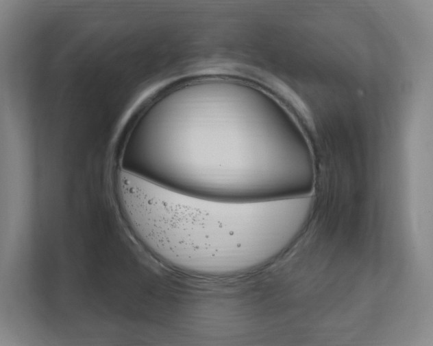 X0000111851368200907231051