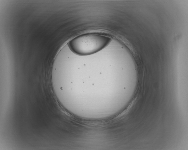 X0000111851369200907231051