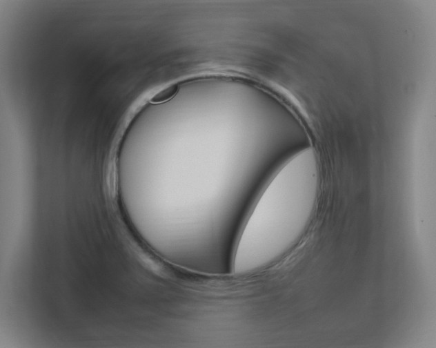 X0000111851371200907231051