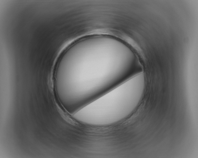 X0000111851372200907231051