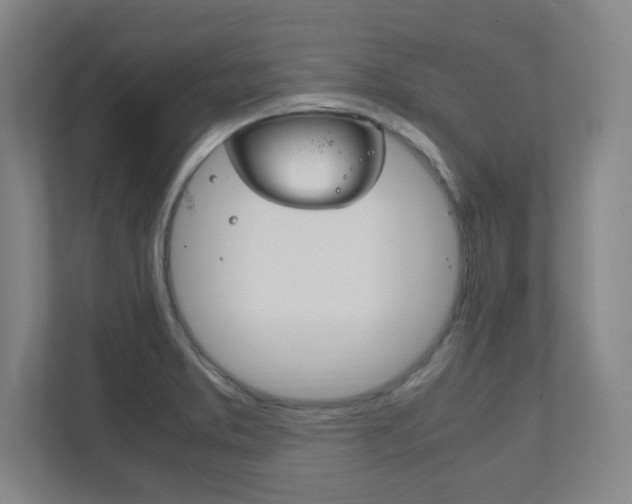 X0000111851373200907231051