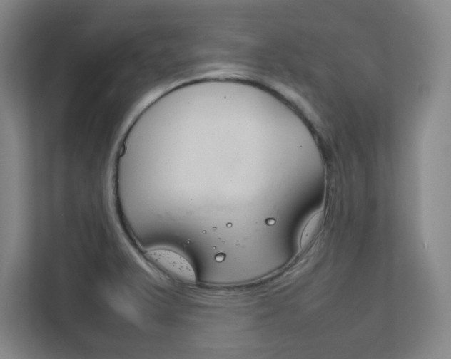 X0000111851375200907231051