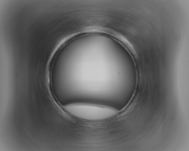 X0000111851376200907231051