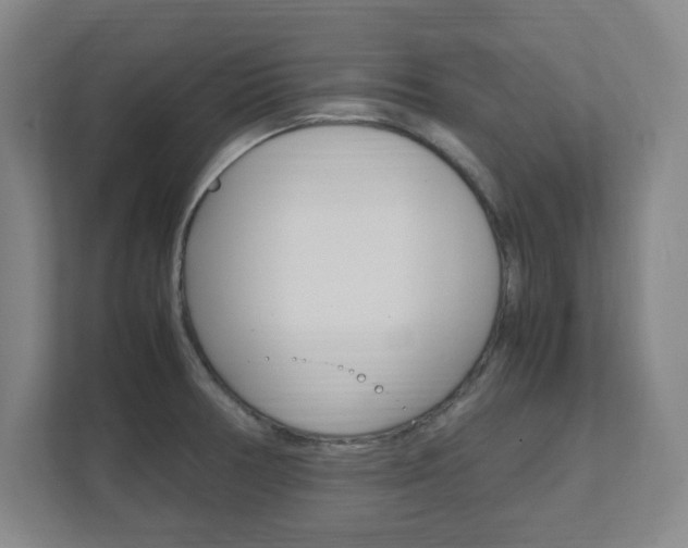 X0000111851378200907231051