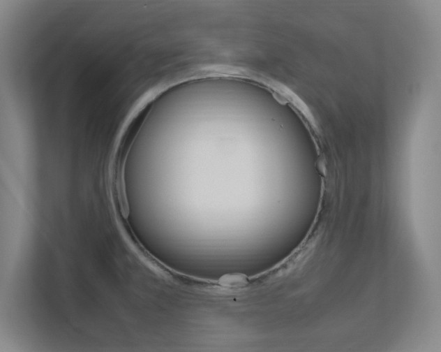 X0000111851381200907231051