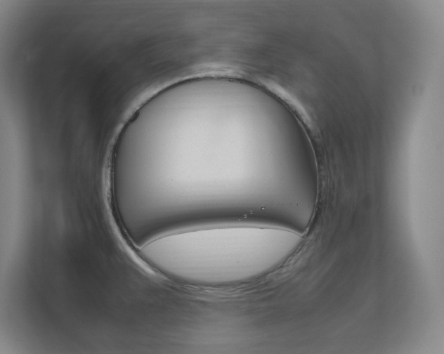 X0000111851383200907231051
