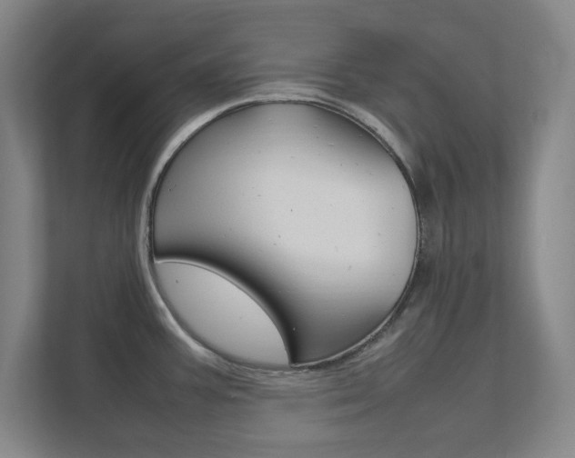 X0000111851387200907231051