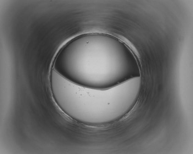 X0000111851388200907231050