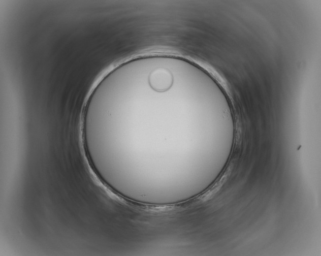 X0000111851390200907231050
