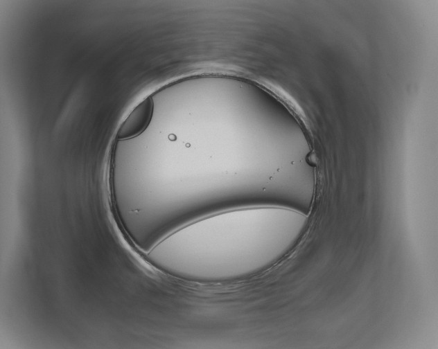 X0000111851391200907231050