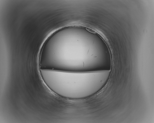 X0000111851392200907231050