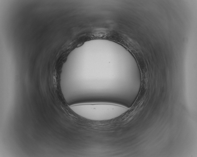 X0000111851394200907231050