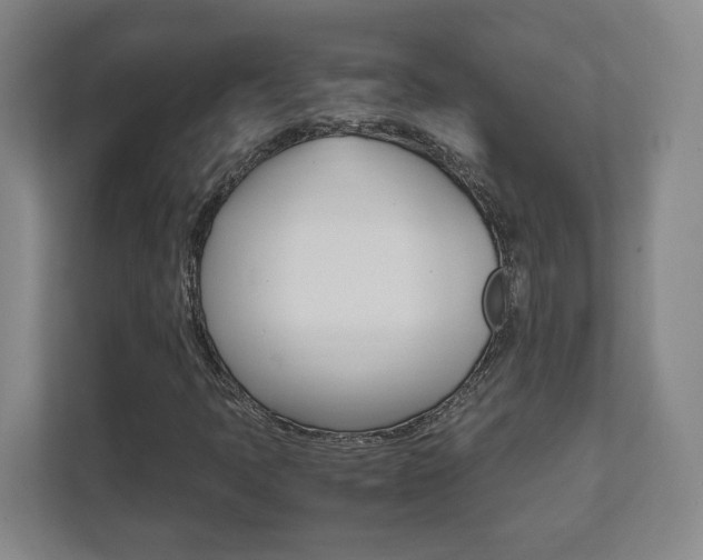 X0000111851397200907231050