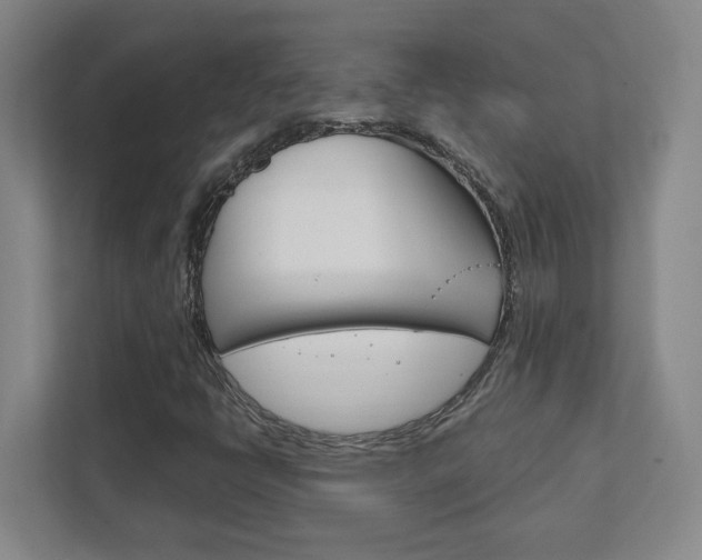 X0000111851398200907231050
