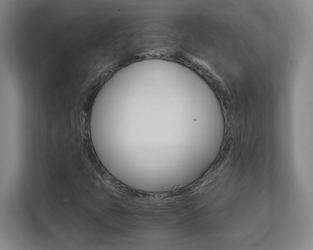 X0000111851399200907231050