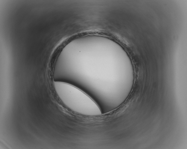 X0000111851400200907231050