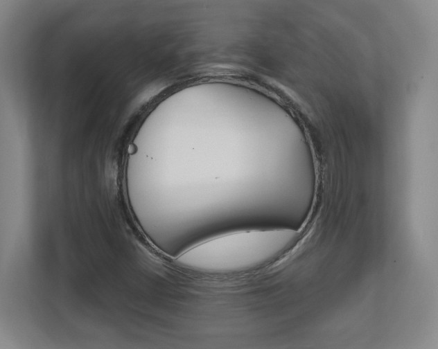 X0000111851402200907231050