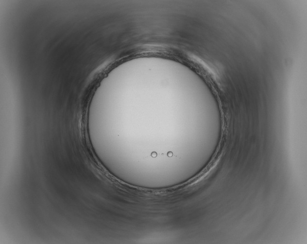 X0000111851403200907231050