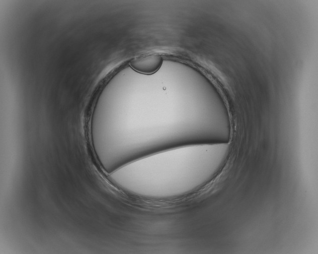 X0000111851404200907231050